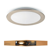 將圖片載入圖庫檢視器 【特價】Philips飛利浦 Hue Muscari ceiling 彩色智能吸頂燈96CM 香港行貨 - A+ Smart Life
